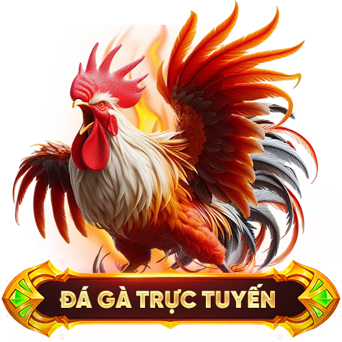 Đá gà trực tuyến