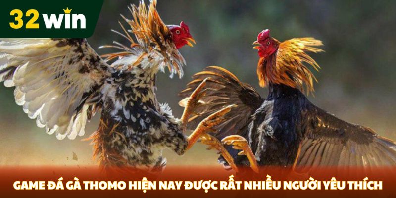 Game đá gà Thomo hiện nay được rất nhiều người yêu thích